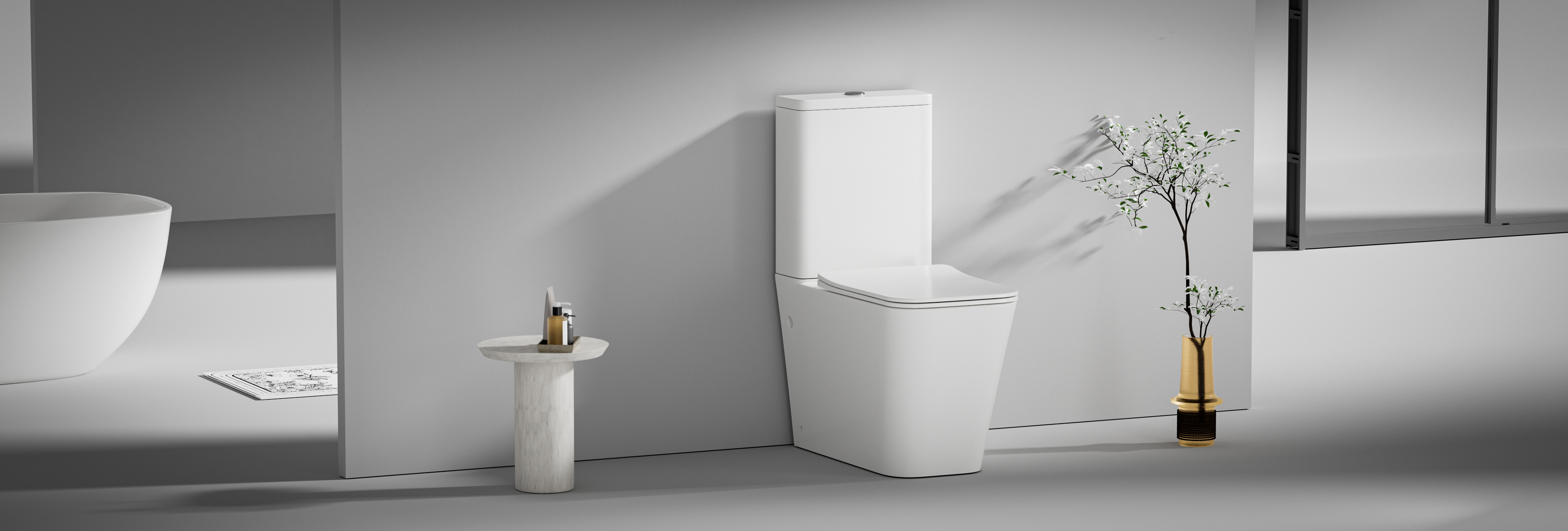 TWO-PIECE TOILET